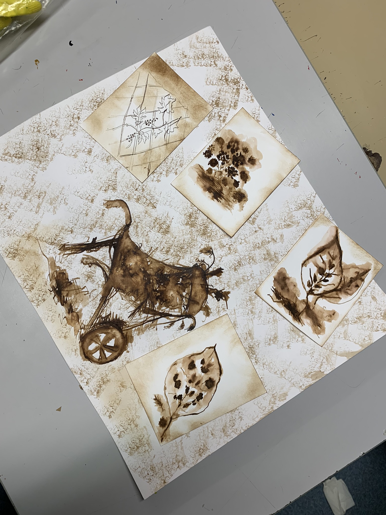 IMG_6547